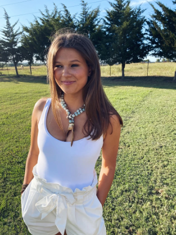 Amazonite Ox Bone Flat Antler Necklace